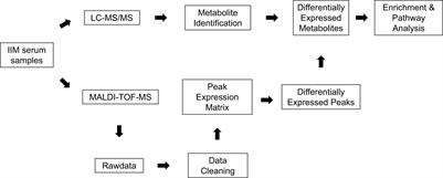 Serum metabolomic analysis reveals disorder of steroid hormone biosynthesis in patients with idiopathic inflammatory myopathy